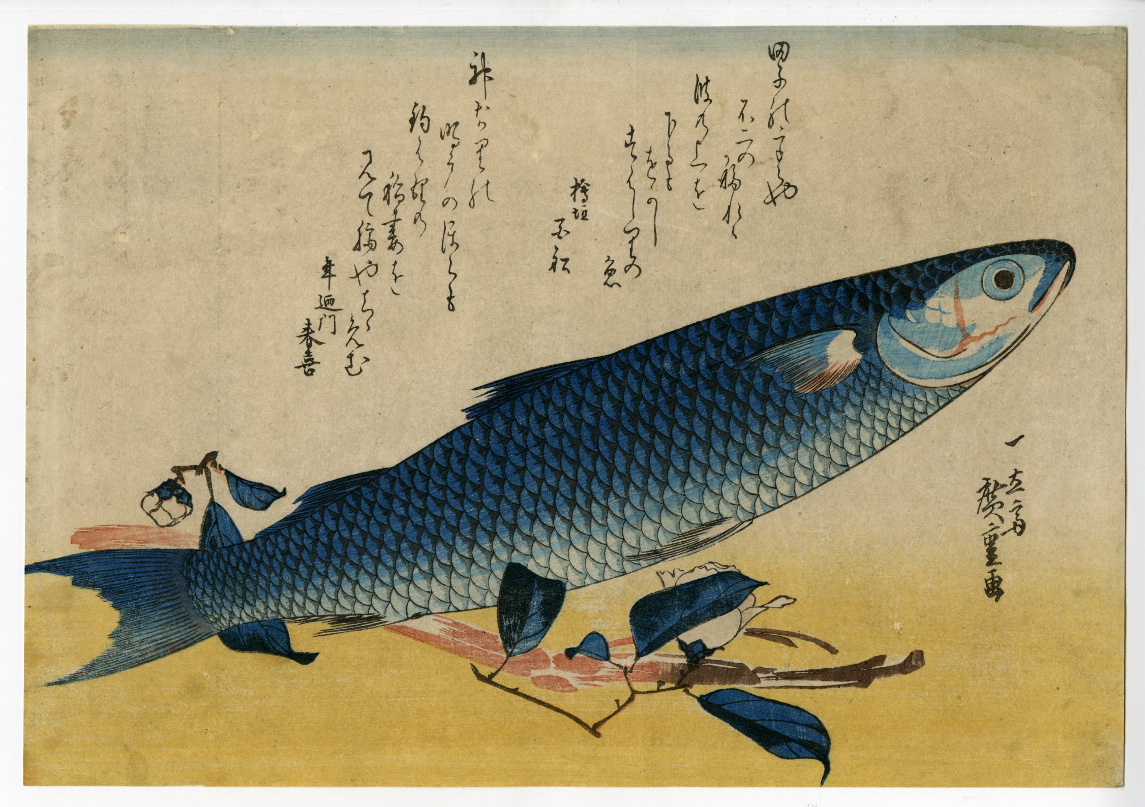 Hiroshige - Striped mullet and udo, Grand Series of Fishes - Ukiyo 